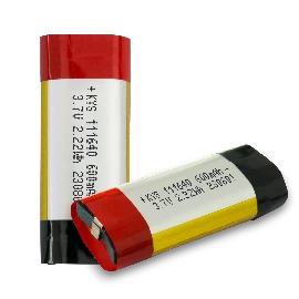 lithium polymer pouch battery