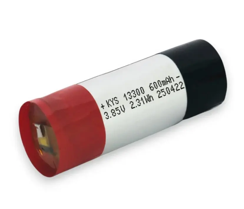 OEM LiPo Battery