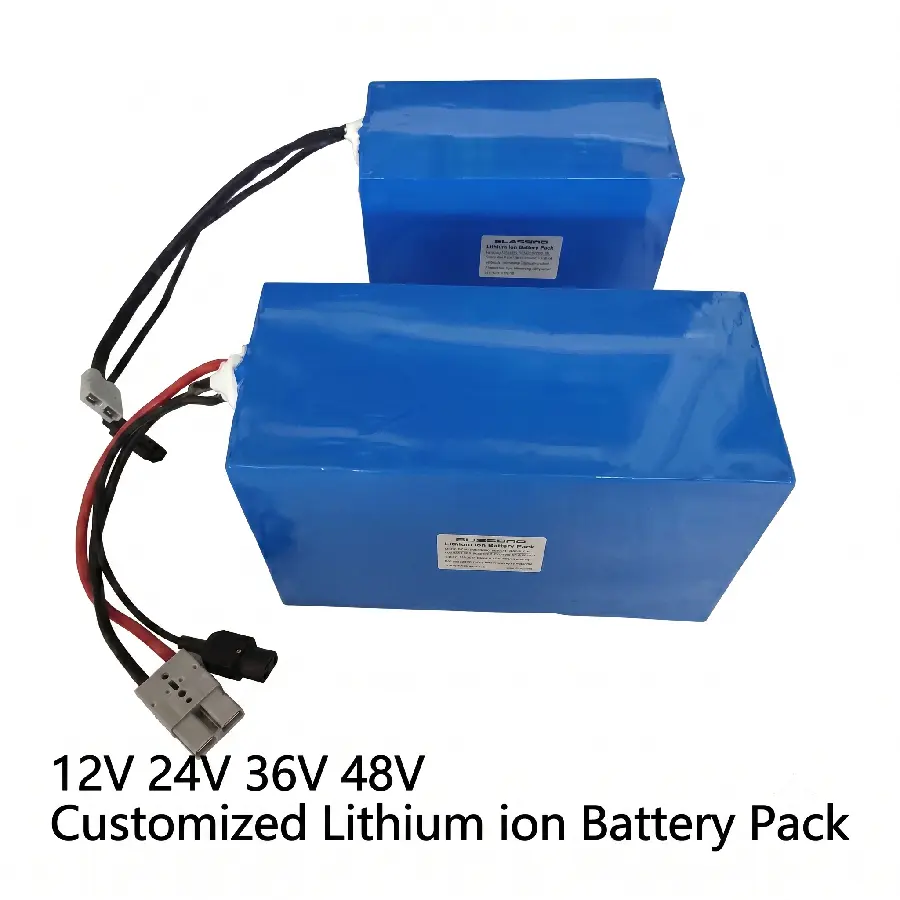 Custom 48V rechargeable lithium battery pack for smart robots with BMS protection